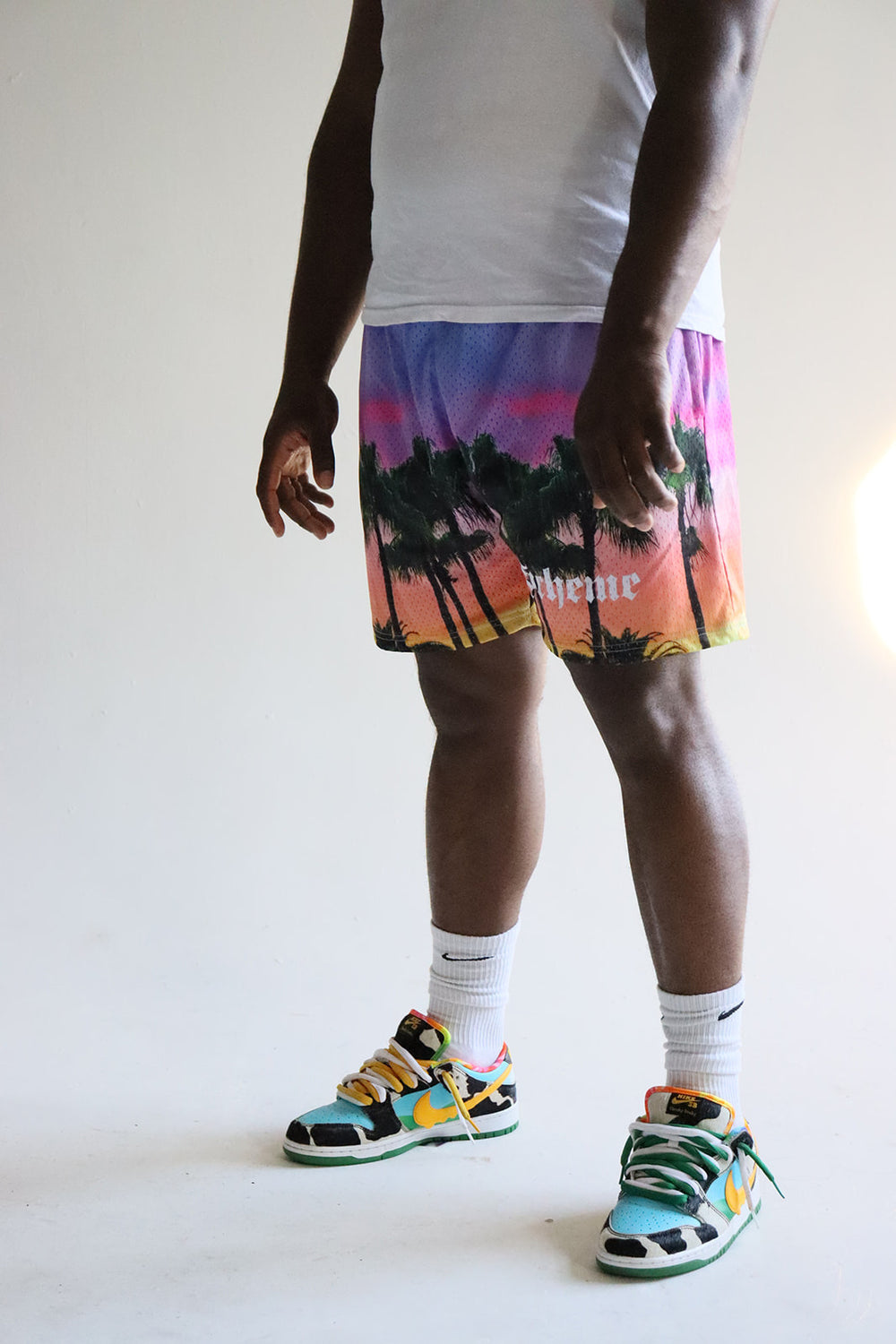 Men's graphic mesh shorts with a picture of palm trees