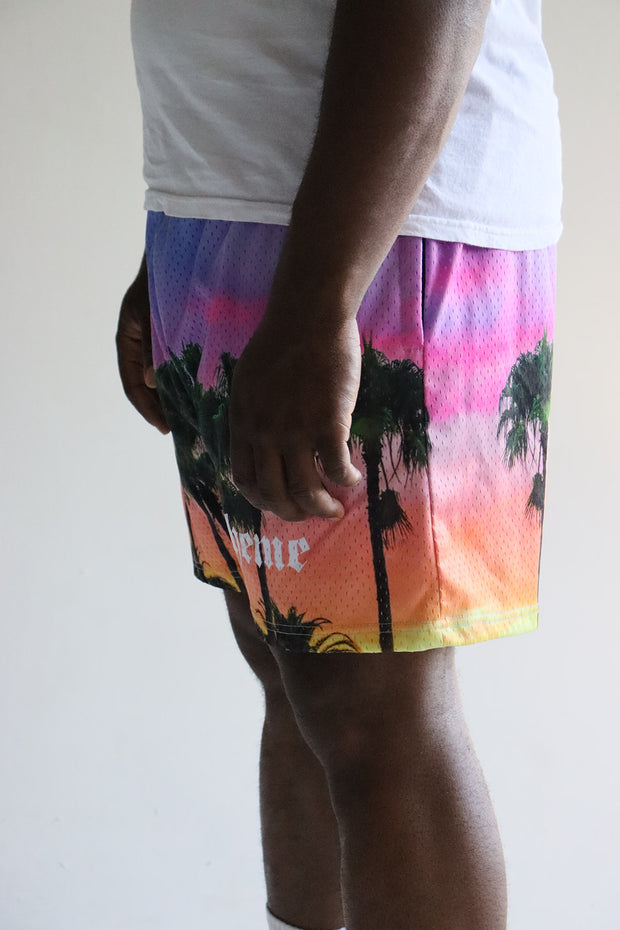 "Scheme" Miami Mesh Shorts - Scheme Wear